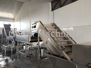 Mango industriale Juice Processing Line 1 di acciaio inossidabile - 10t/H