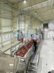 Linea di trasformazione di 3T/H Apple per Juice Complete Plant Preheating