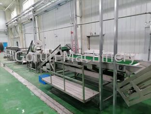 Linea di produzione della polpa della guaiava 500T/D impianto di lavorazione della guaiava di 415V per succo concentrato