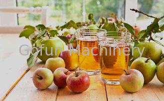SS316 concentrato Apple Juice Processing Plant 25t/H per la bevanda