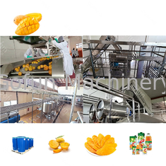 Mango Juice Processing Line High Efficiency di acciaio inossidabile 300T/D