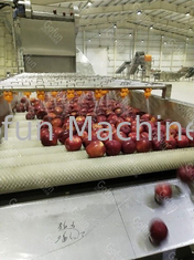Un inceppamento di 10 t/h Apple che rende a macchina la linea automatica 15kw di lavorazione della frutta
